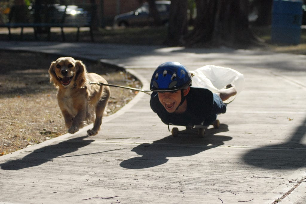 Child playing with his dog