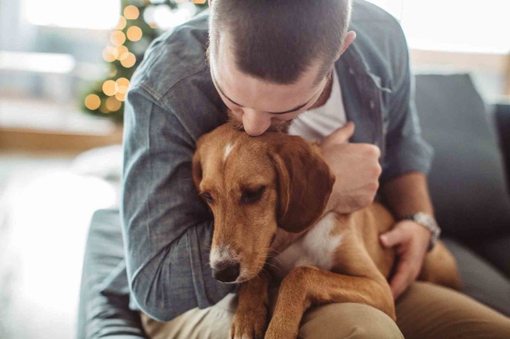 Touchy-Feely: Can Pets Sense Emotions in Humans?