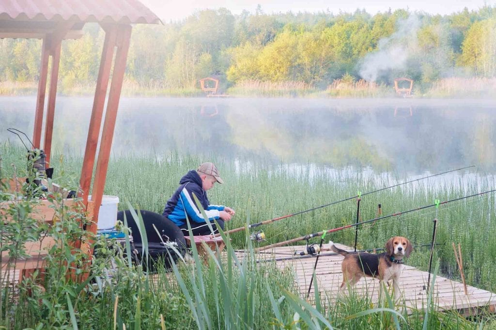 Fishing with your dog is a lot of fun if your know outdoor pet safety