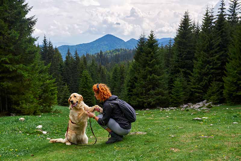 Pet first aid is important when hiking with pets.