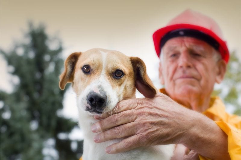 Old man in fire hat holding dog