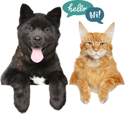 Animal Hospital in Schertz: Cat and Dog Saying "Hello"