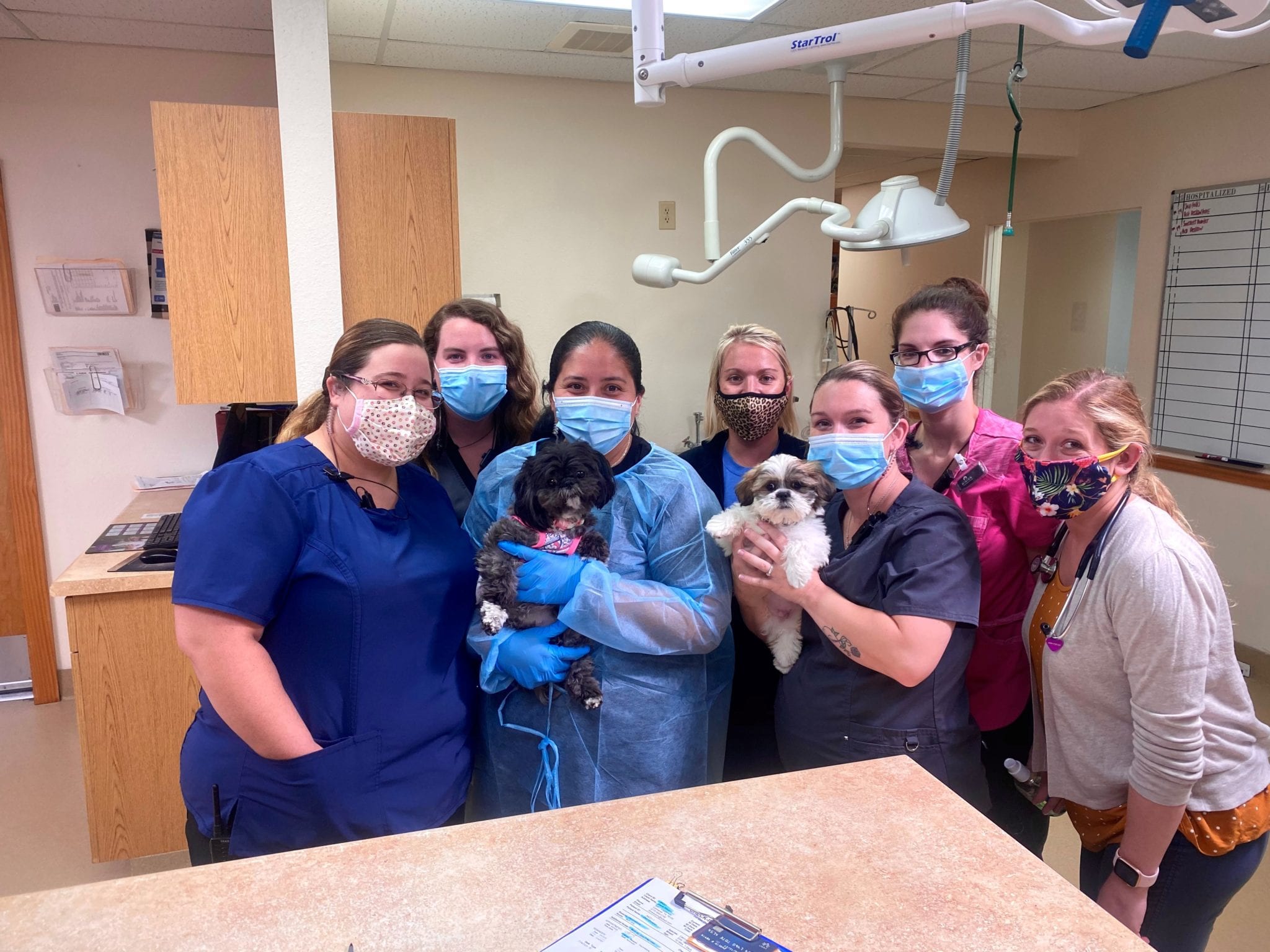 Veterinary Technician Jobs Near San Antonio, TX | Schertz Animal Hospital