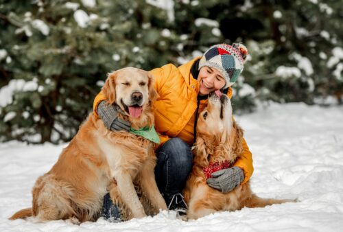 two-dogs-in-the-snow-with-owner