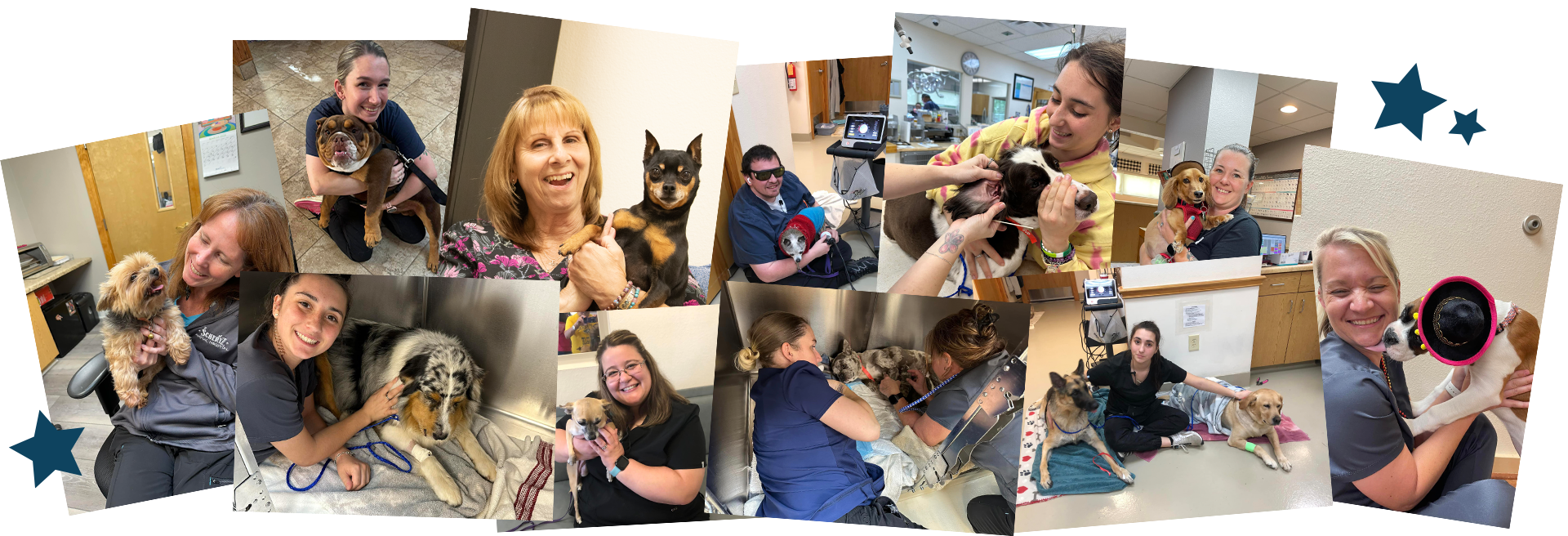 Schertz Staff Collage 2025
