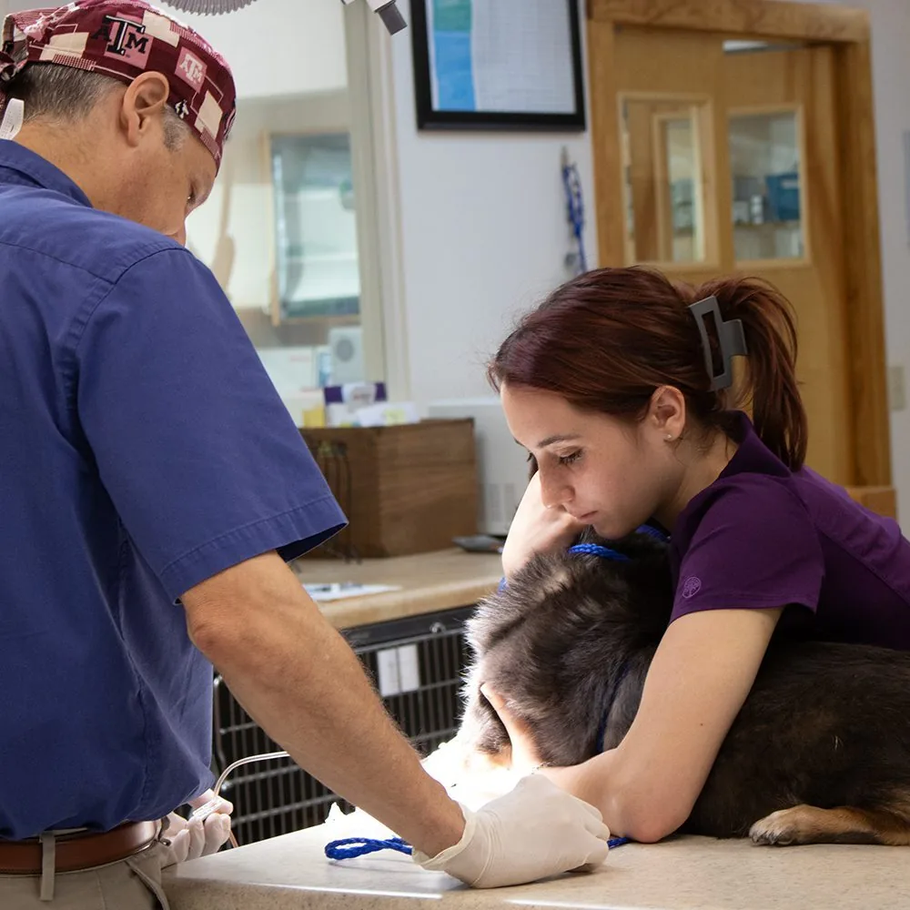 Dr Mossburg And Technician Administering Cancer Treatment Dr Mossburg And Technician Administering Cancer Treatment