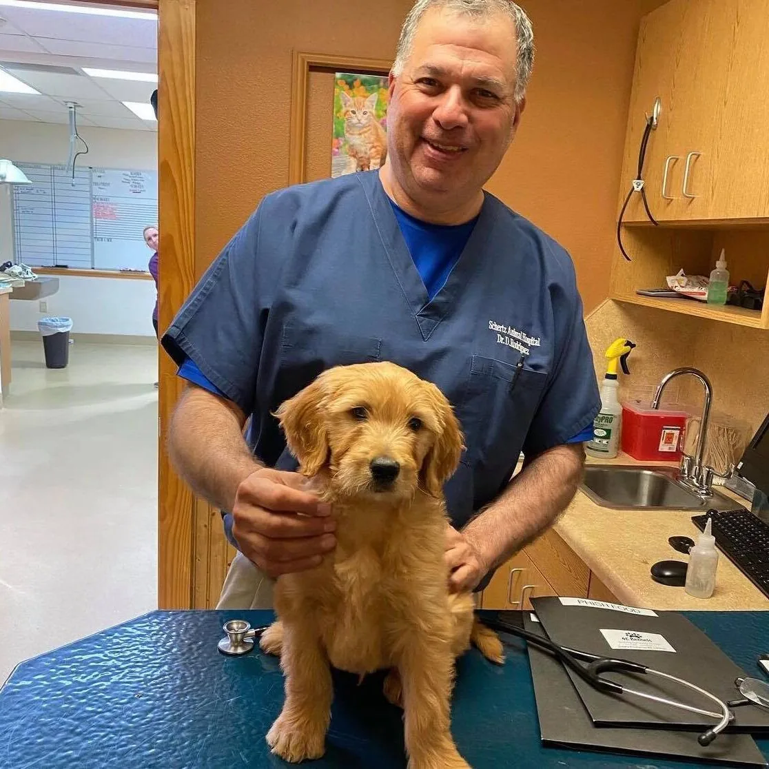 Male Vet With Brown Puppy