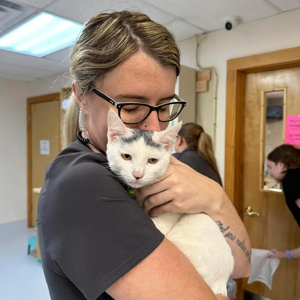 Miranda Hugging Cat