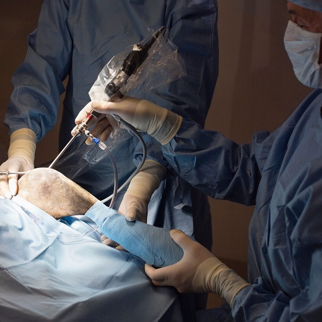 two veterinarians performing TPLO surgery in operating room